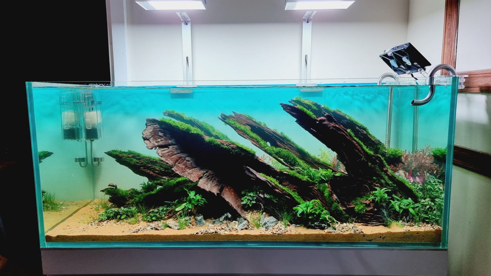 Bố cục lũa cho hồ 120cm