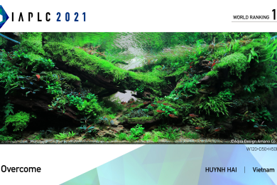 Hồ dự thi IAPLC 2021