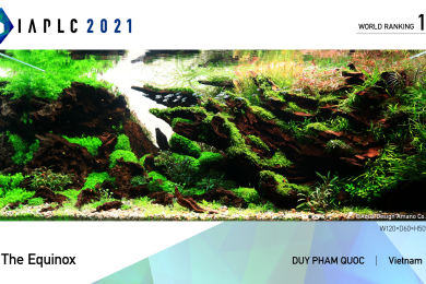 Hồ dự thi IAPLC 2021