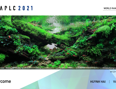 Hồ dự thi IAPLC 2021