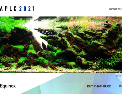 Hồ dự thi IAPLC 2021
