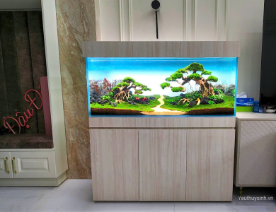 Dự án hồ thủy sinh trong nhà tại Quận 1