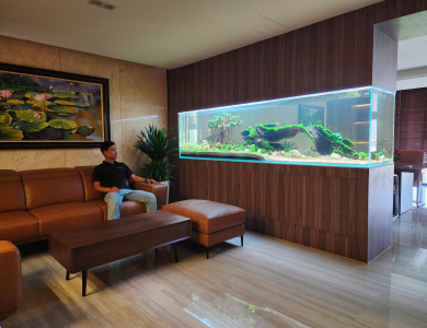 Hồ thủy sinh trong nhà tại Quận Bình Thạnh