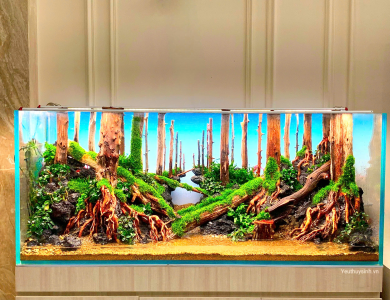 Hồ thủy sinh trang trí trong nhà gỗ