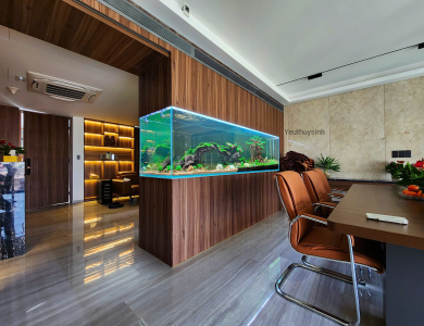 Hồ thủy sinh trong nhà tại Quận Bình Thạnh