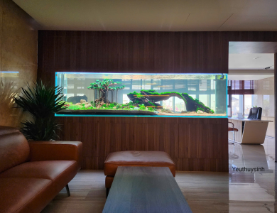 Hồ thủy sinh trong nhà tại Quận Bình Thạnh