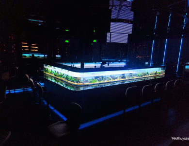 Hồ thủy sinh tại Quầy Bar Quận 1