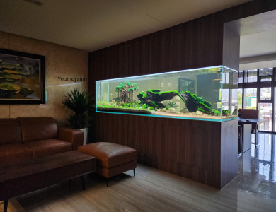Hồ thủy sinh trong nhà tại Quận Bình Thạnh