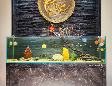 Hồ thủy sinh bán cạn