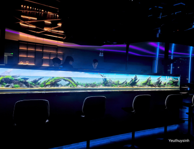 Hồ thủy sinh tại Quầy Bar Quận 1