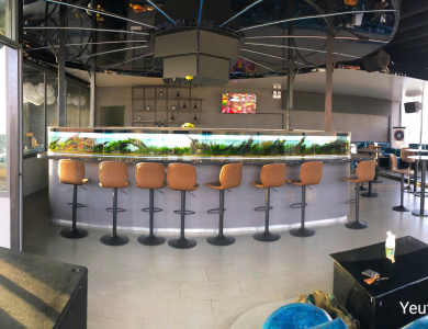 Hồ thủy sinh quầy bar nhỏ