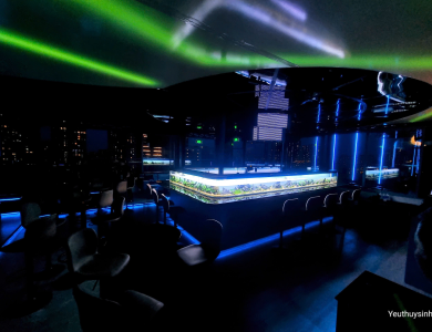 Hồ thủy sinh tại Quầy Bar Quận 1