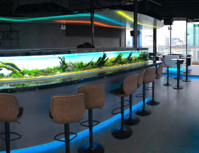 Hồ thủy sinh tại Quầy Bar Quận 1