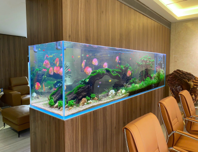 Hồ thủy sinh trong nhà tại Quận Bình Thạnh