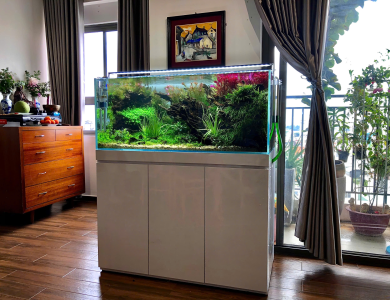 Hồ thủy sinh tủ nhỏ