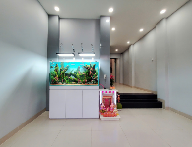 Hồ thủy sinh tầng trệt