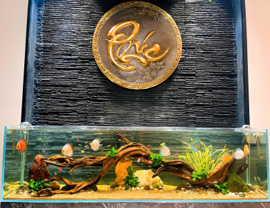 Hồ thủy sinh bán cạn