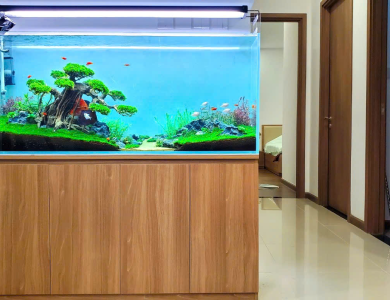 Dự án hồ thủy sinh tủ gỗ