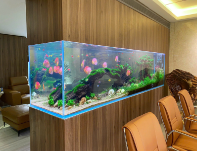 Hồ thủy sinh trong nhà tại Quận Bình Thạnh