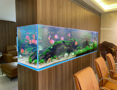 Hồ thủy sinh trong nhà tại Quận Bình Thạnh