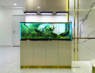 Hồ thủy sinh tủ lớn