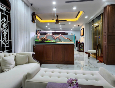 Hồ thủy sinh cây lủa lớn