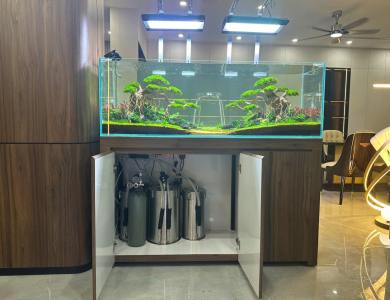 Hồ thủy sinh đang thi công