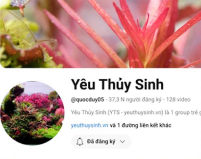IAPLC 2021 - Rank #632 [by Yeuthuysinh]