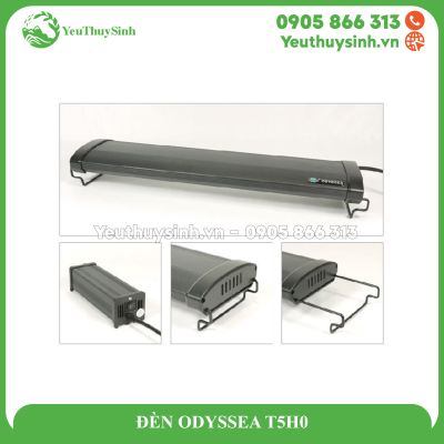 ĐÈN ODYSSEA T5H0