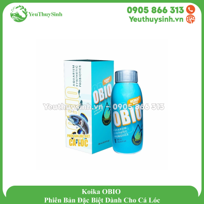 Koika OBIO Phiên Bản Đặc Biệt Dành Cho Cá Lóc